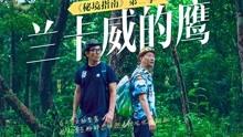 合金装备：幸存
